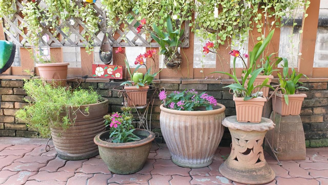 Little Guest House Hotel Chiang Mai Ngoại thất bức ảnh